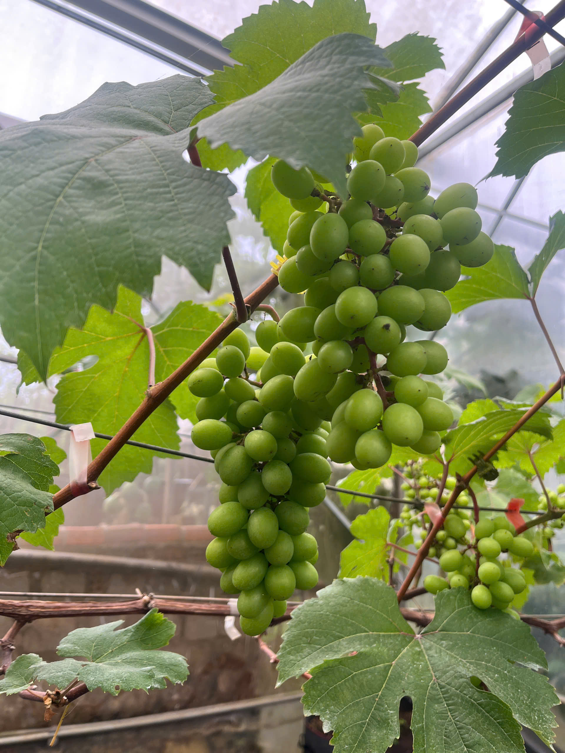 hướng dẫn báo cáo tình hình  sử dụng lao động