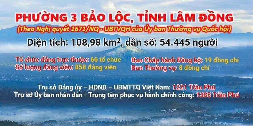 Lịch sử văn hóa 