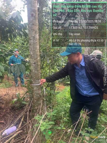 PHƯỜNG 2 BẢO LỘC QUYẾT TÂM THỰC HIỆN CHIẾN DỊCH “90 NGÀY LÀM GIÀU, LÀM SẠCH CƠ SỞ DỮ LIỆU ĐẤT ĐAI