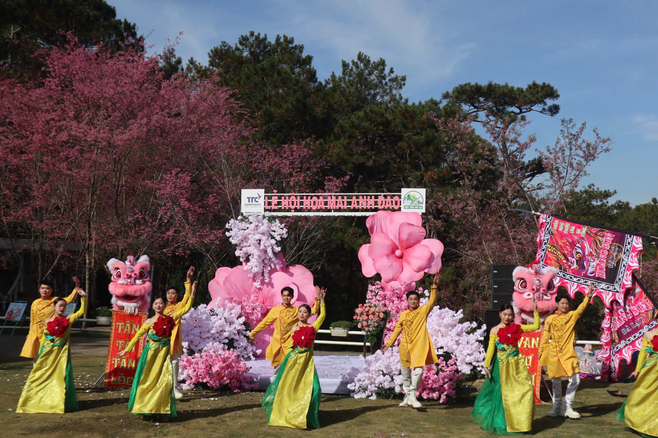 🌸 HOA MAI ANH ĐÀO GIỮA LÒNG THUNG LŨNG 🌸 Hưởng ứng Lễ hội Hoa Mai Anh Đào – Đà Lạt Xuân 2026