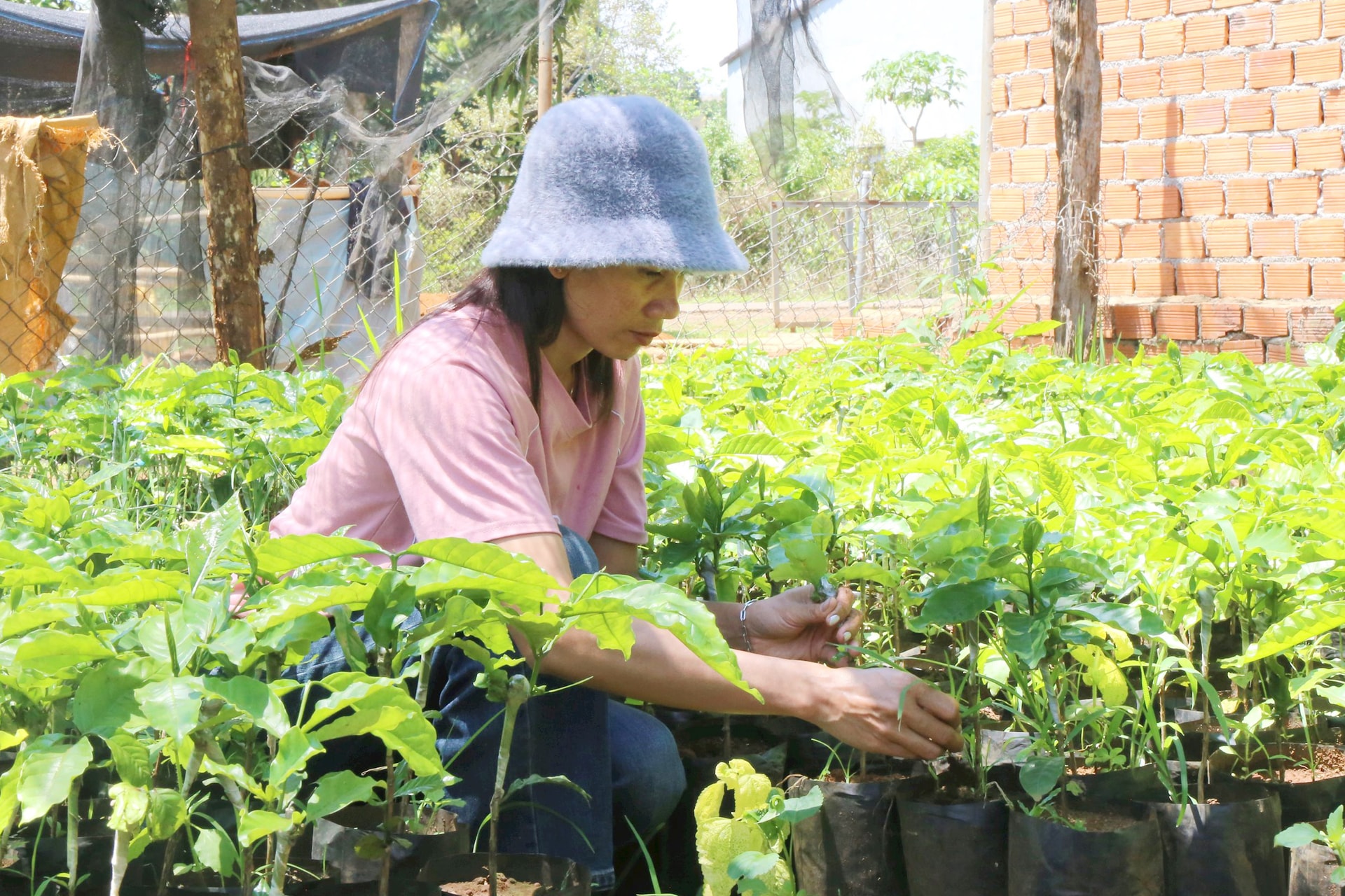 Cho vay nông nghiệp, nông thôn tăng dư nợ