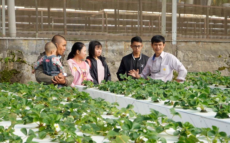 Trang trại Lang Biang và những công trình du lịch trong nông nghiệp - nông nghiệp làm du lịch