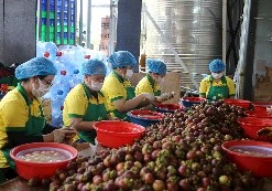 Tăng tốc sản xuất công nghiệp cuối năm