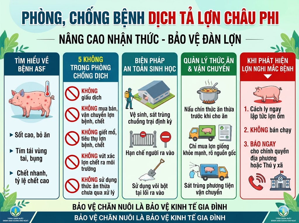 Phòng, chống bệnh Dịch tả lợn Châu Phi