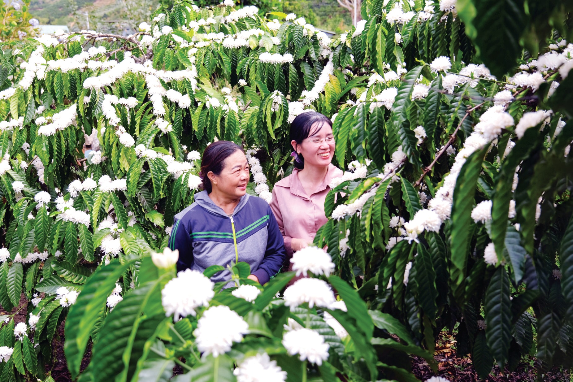 “Nam châm” hút đầu tư chế biến nông sản