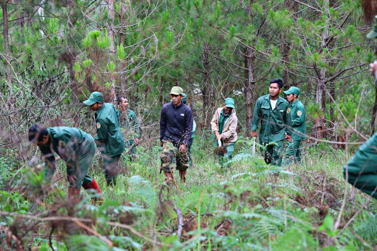 UBND tỉnh Lâm Đồng công bố số điện thoại đường dây nóng của các Đội Kiểm lâm cơ động và Phòng cháy, chữa cháy rừng.