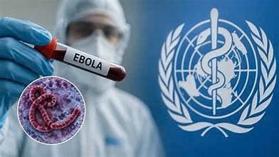 Lâm Đồng tăng cường giám sát, phòng, chống dịch bệnh Ebola