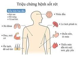 PHƯỜNG B’LAO TĂNG CƯỜNG GIÁM SÁT, TRUYỀN THÔNG PHÒNG CHỐNG BỆNH SỐT RÉT