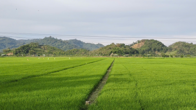 Xã Đạ Tẻh hướng tới xây dựng một nền nông nghiệp hiện đại, hội nhập và bền vững 