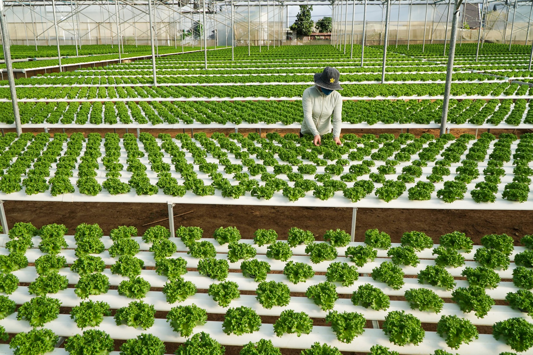 Xã Ka Ðô tạo đột phá bằng nông nghiệp thông minh