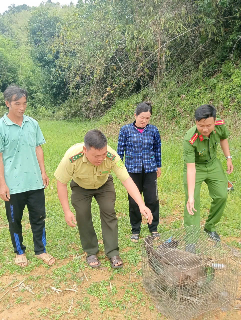 Lan tỏa ý thức bảo vệ động vật hoang dã từ hành động đẹp của người dân