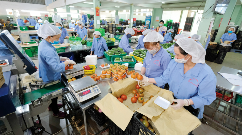 Nâng cao chất lượng sản phẩm để thúc đẩy xuất khẩu