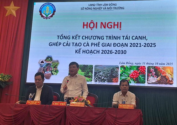 LÂM ĐỒNG: TÁI CANH CÀ PHÊ – THAY ĐỔI ĐỂ PHÁT TRIỂN BỀN VỮNG